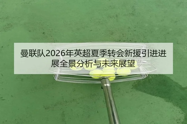 曼联队2026年英超夏季转会新援引进进展全景分析与未来展望